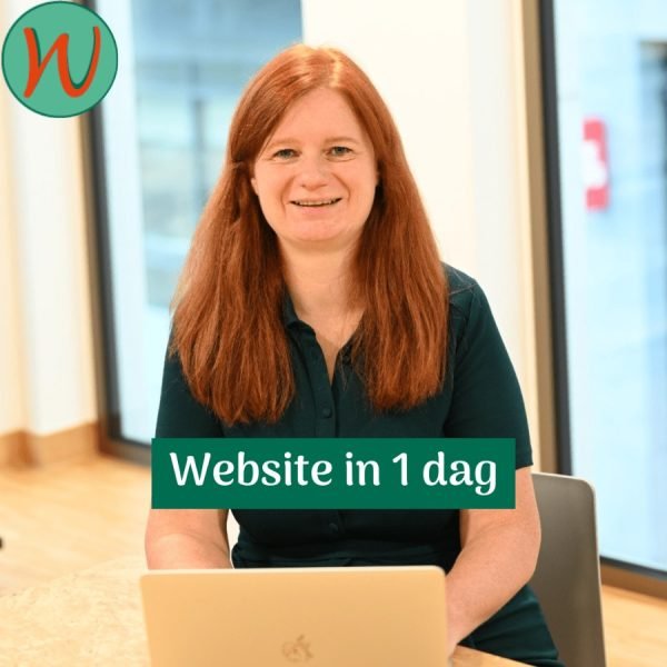 Website in 1 dag